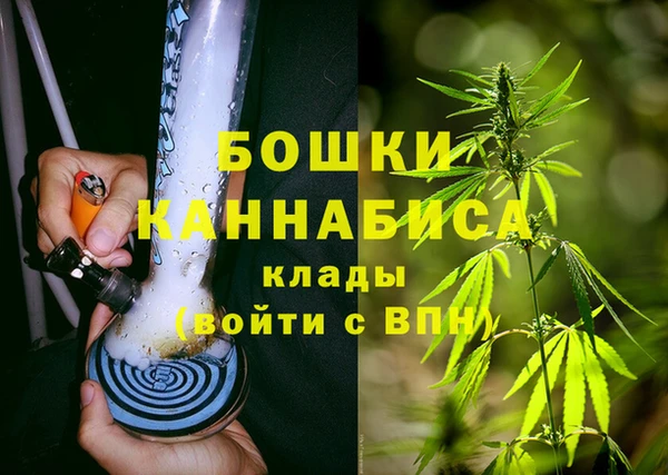 крисы Горнозаводск