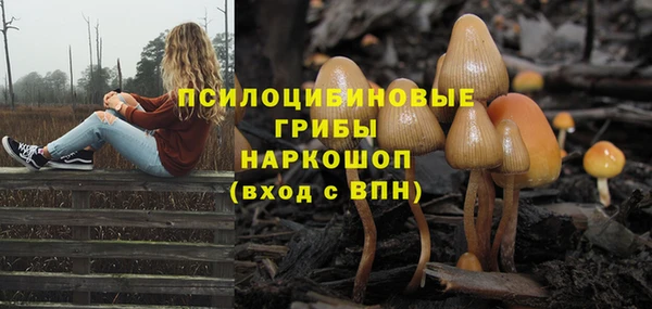 крисы Горнозаводск