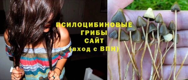 марки nbome Горняк