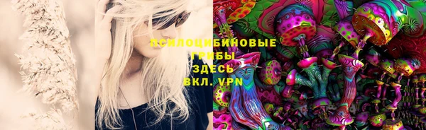 марки nbome Горняк