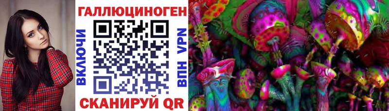 Купить закладки  Котельнич  Псилоцибиновые грибы Psilocybine cubensis 